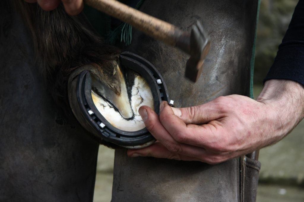 How Often Should My Horse See a Farrier